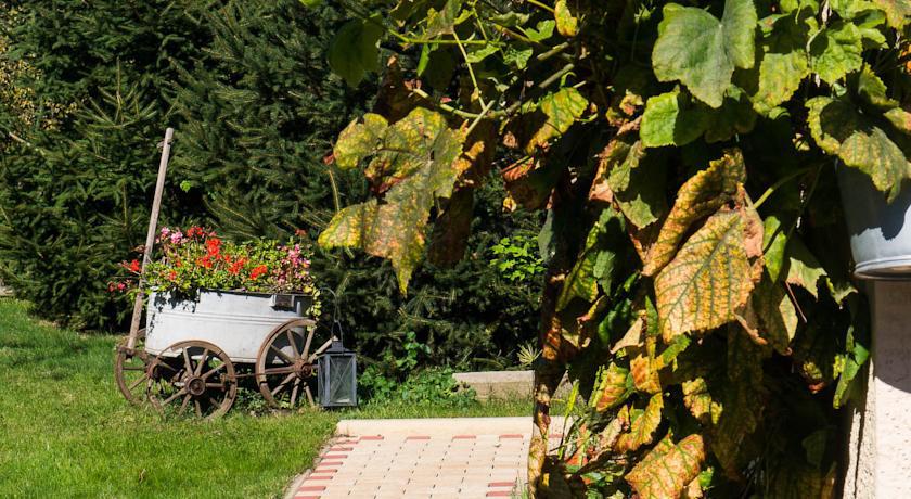 Ferienwohnung Am Elberadweg Dresda Esterno foto