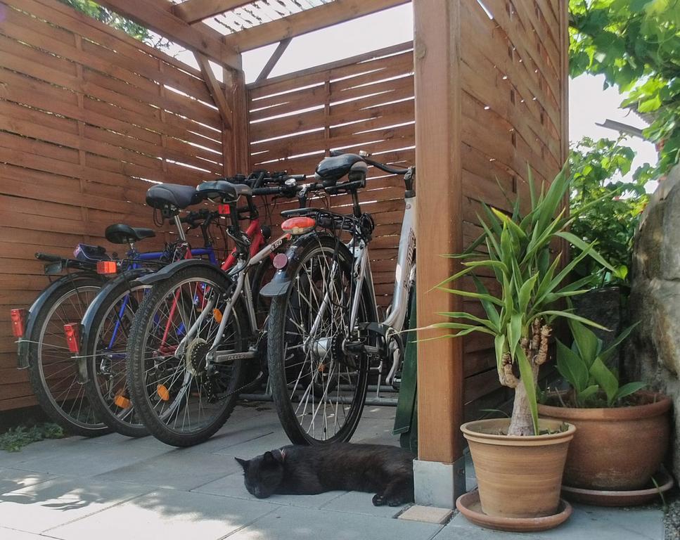 Ferienwohnung Am Elberadweg Dresda Esterno foto